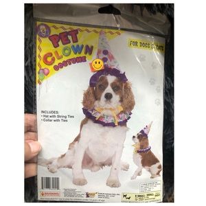 Pet Clown Costume